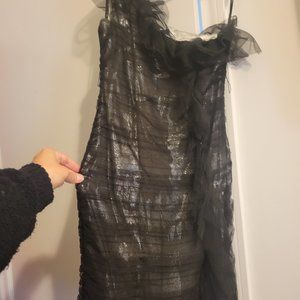 Black and Silver BCBG dress